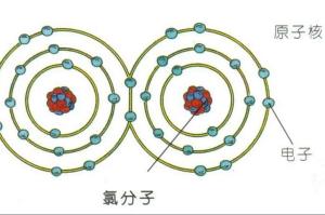 分子结构图