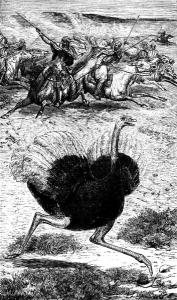 捕捉阿拉伯鸵鸟（巴勒斯坦，1887年）