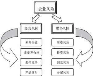 财务风险管理结构图