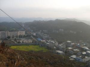 基本情况