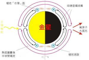 金星大气层环流中的经向（南北走向）环流。