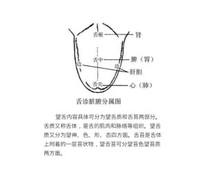 舌象