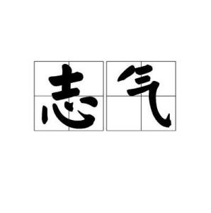 志气