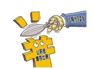缴存比例
