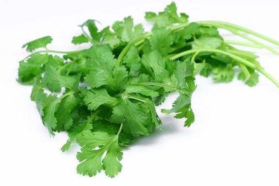 芫茜 伞形目伞形科植物 搜狗百科