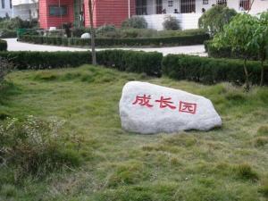 新洲二中图册