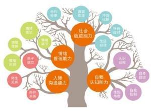 认知能力和思维能力的区别 0