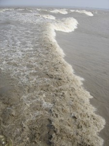 钱塘潮