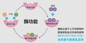酶