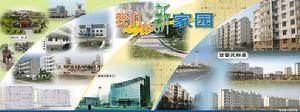 春江镇