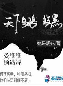 短剧天下，乌鸦在线观看免费之旅，短剧天下，乌鸦在线免费观看之旅