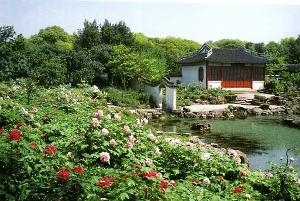 上海植物园