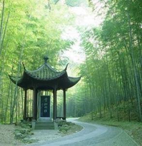 洗心亭风景