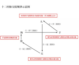 十二经脉