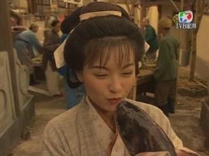 醉打金枝