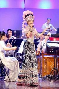 杨倩琳演唱现场