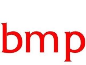 BMP格式