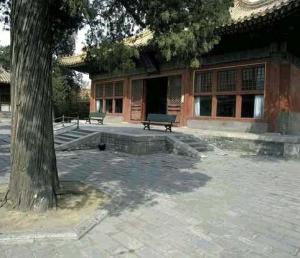 景阳宫。她在此被长期幽禁。