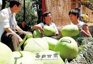 做普通销售员还是当销售精英