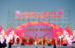 肥城桃花旅游节
