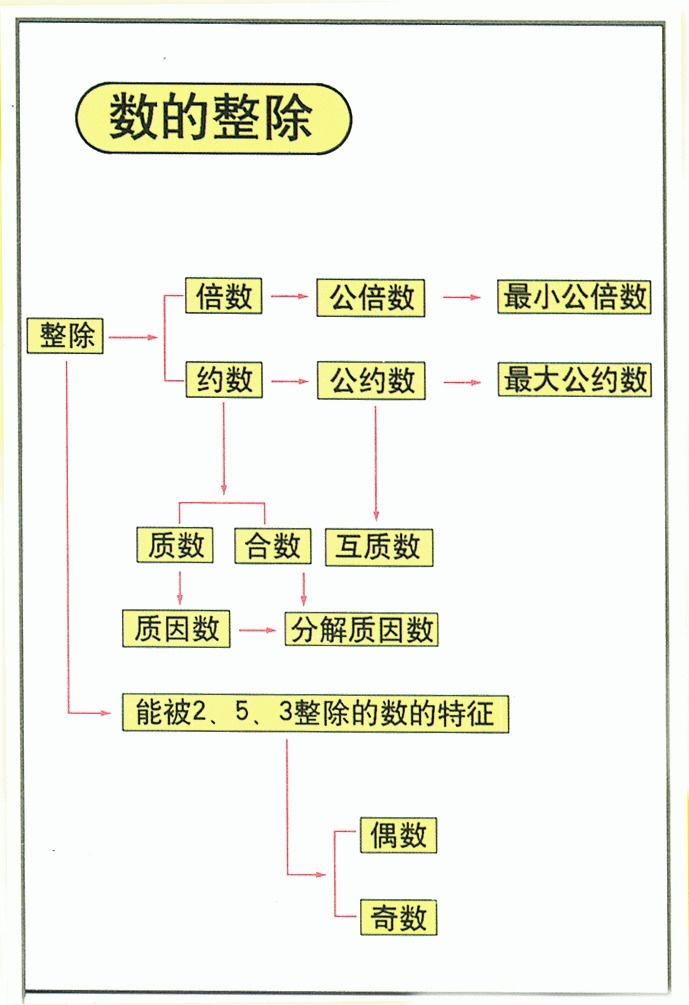 数的整除知识点整理图片