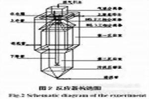 消化污泥