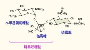 链霉素