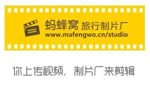 马蜂窝