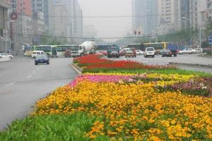 西安新天图园林股份有限公司图册