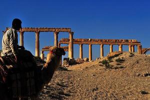 帕尔米拉古城遗址图册