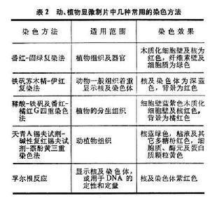 光学金相显微术