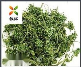 臻鲜人参花茶