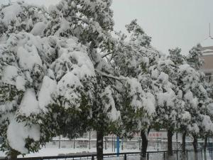 南京市莫愁中等专业学校雪景图...