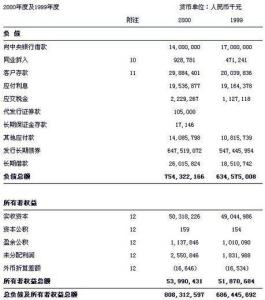会计报表附注