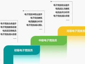电子竞技员