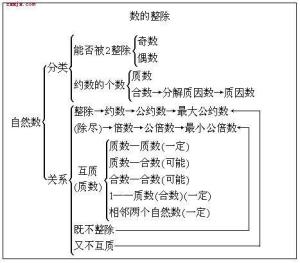 整除抽象图