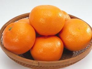 橘子