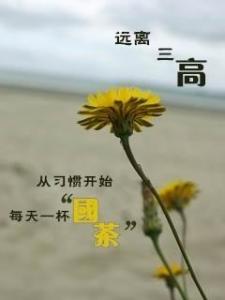 国茶