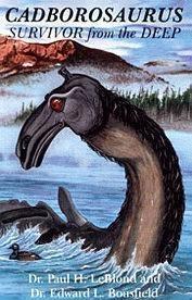 卡布罗龙 - 搜狗百科