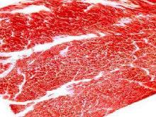 羊肉