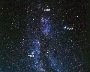 织女星