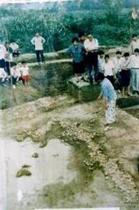 濯港镇文物出土现场