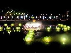 莲池夜月