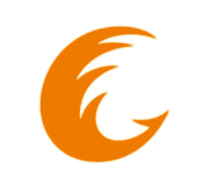 成都市广播电视台太阳鸟标志