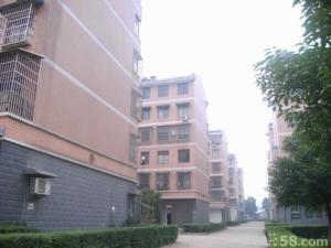 马栏山社区