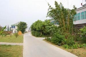 前洲镇