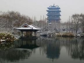 济南的冬天实景