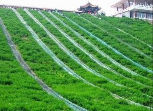 滑草