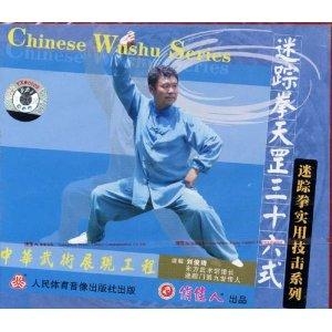 迷踪拳