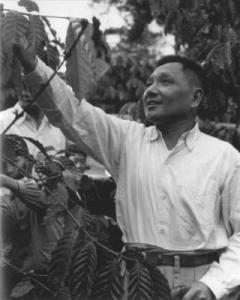 邓小平同志在兴隆华侨农场咖啡园 邓小平同志在兴隆华侨农场咖啡园